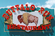 Buffalo Run